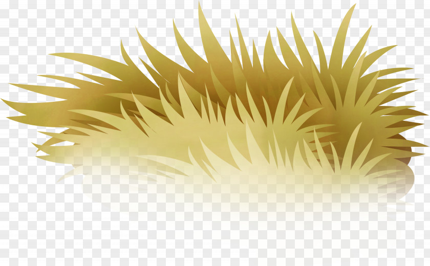 Pretty Cartoon Grass Drawing Clip Art PNG