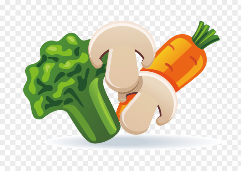 Vector Carrot Broccoli Fast Food Meatball Junk PNG