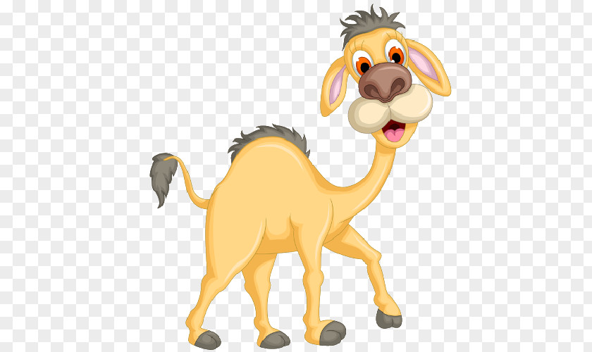 Camel Face Clip Art Image Openclipart PNG