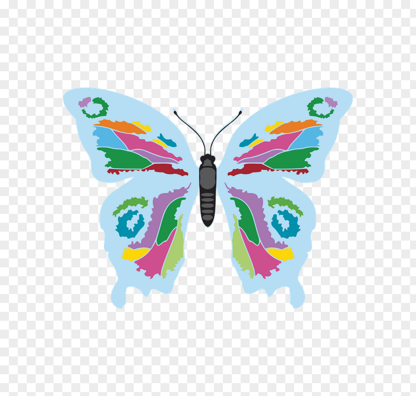 Design Moth PNG