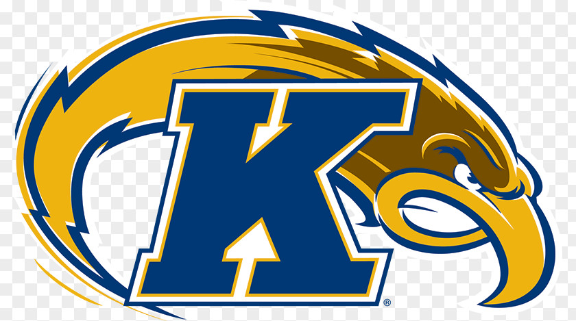 Volleyball Setter Kent State University Golden Flashes Men's Basketball Football Women's Ice Hockey PNG