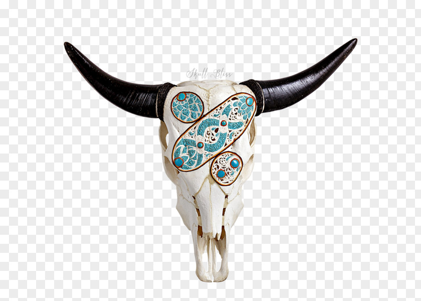 Xl Horns Cattle Turquoise Skull XL PNG