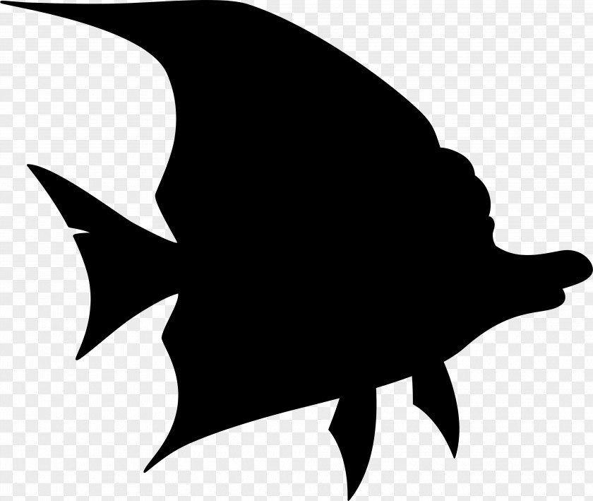 Clip Art Marine Mammal Silhouette Black M PNG