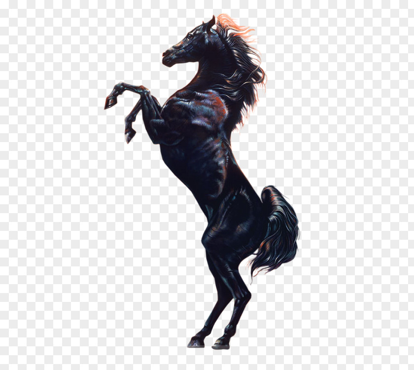 Dark Horse Film Stallion Pony 1080p PNG