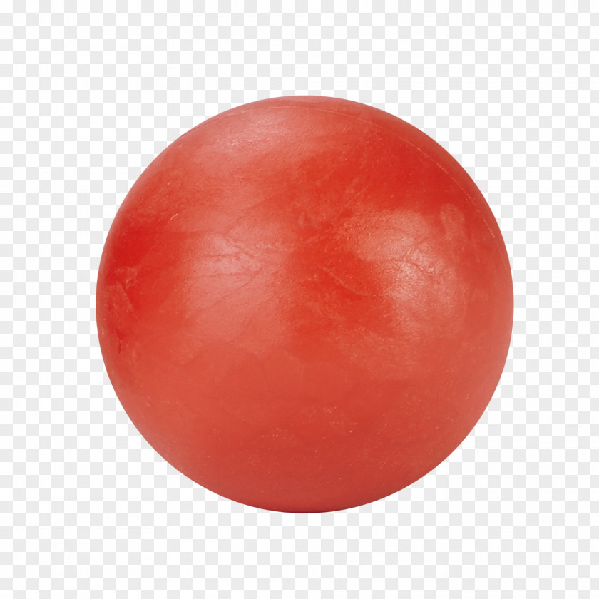 Hockey Puck Sphere Ball PNG