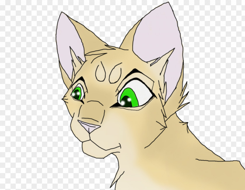 Kitten Whiskers Cat Drawing PNG