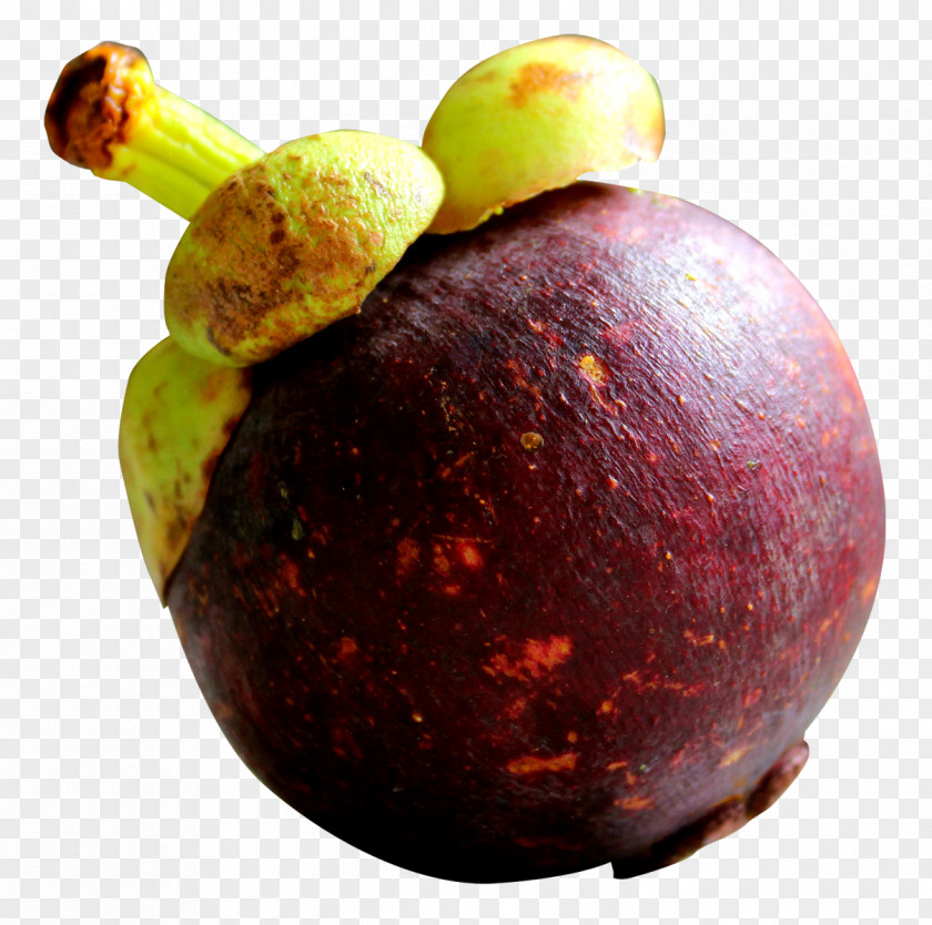 Purple Mangosteen PNG