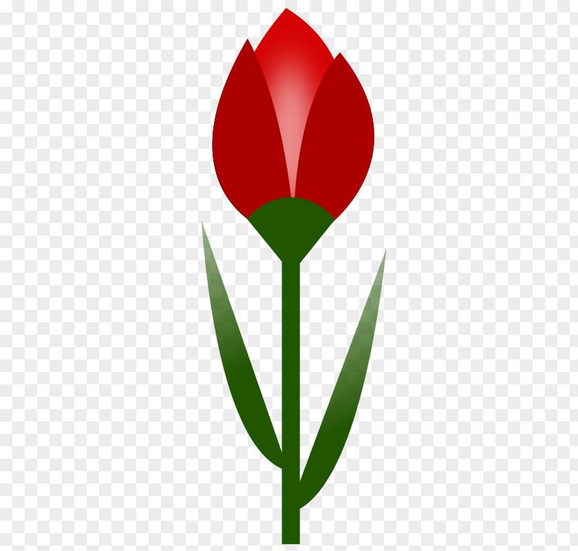 Tulip Flower Red Drawing Clip Art PNG