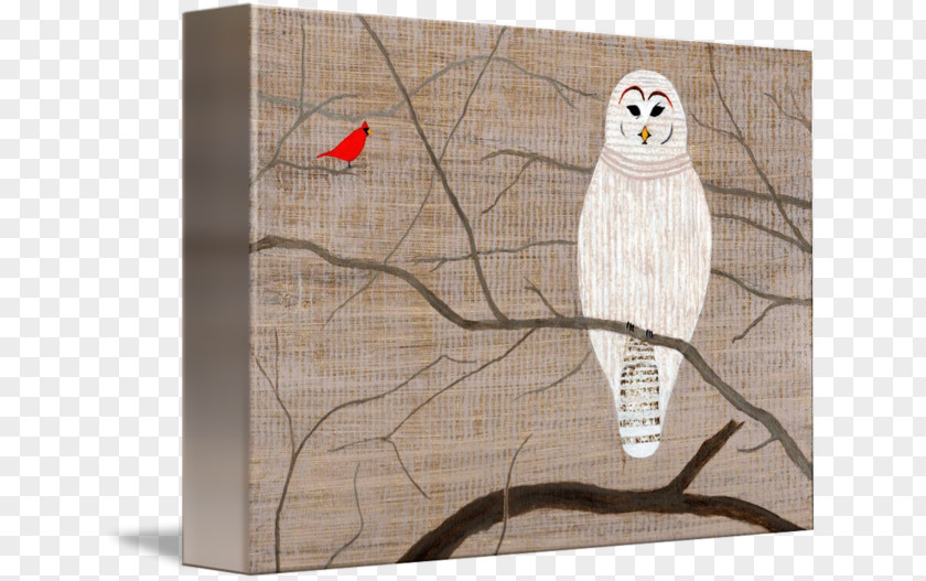 Barred Owl Gallery Wrap Canvas Wood PNG