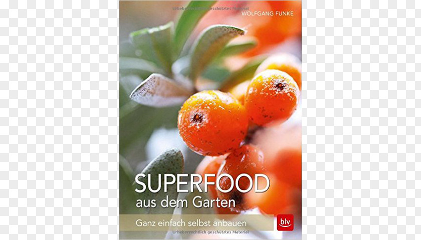 Book Superfood Aus Dem Garten: Ganz Einfach Selbst Anbauen Text Wolfgang Funke PNG