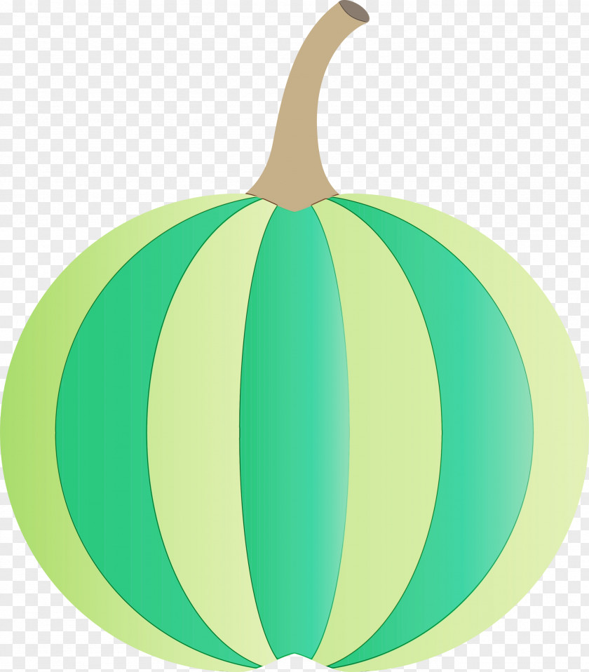 Gourd Squash Winter Green Fruit PNG