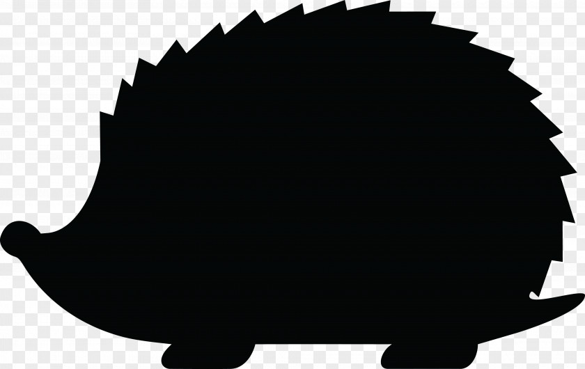 Hedgehog Clip Art PNG