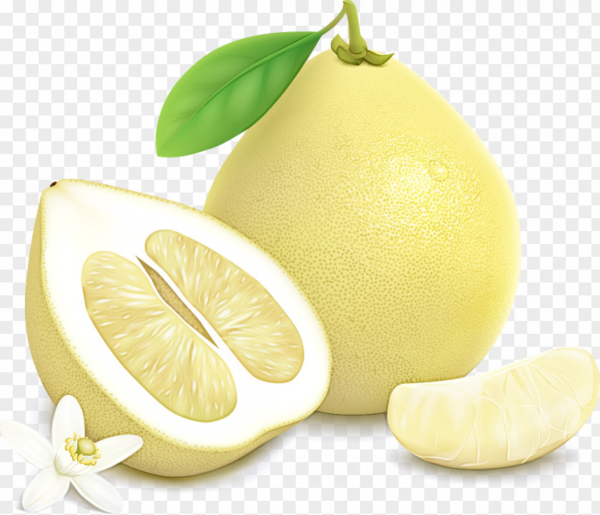 Lemon Persian Lime Peel Citron Citrus PNG
