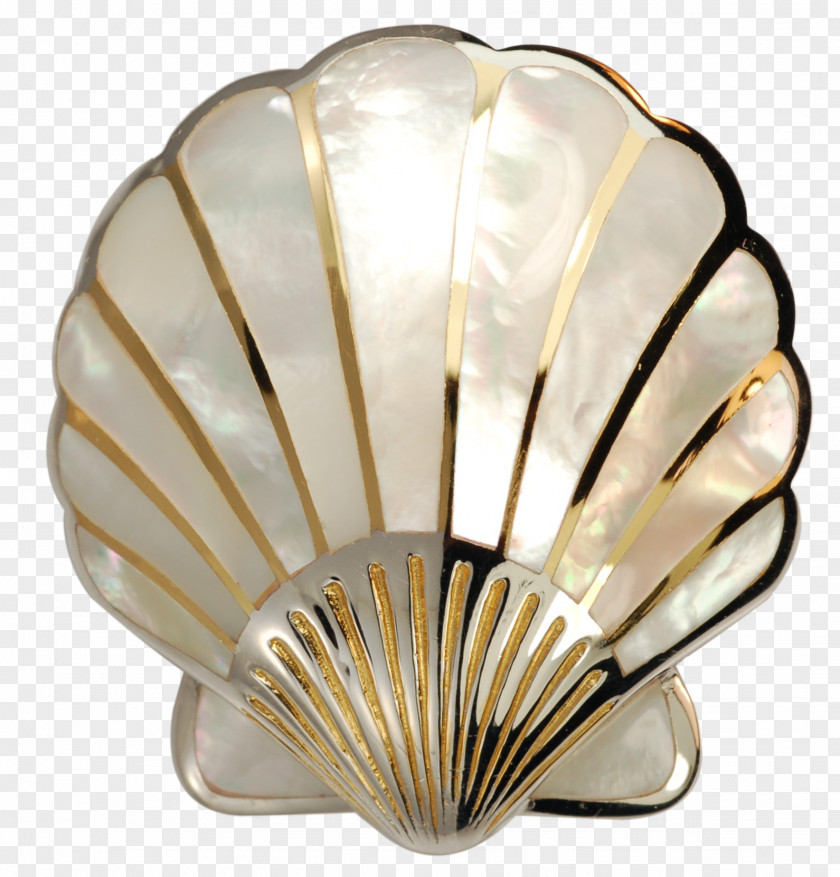 Pearls Seashell Pearl Nacre Scallop PNG