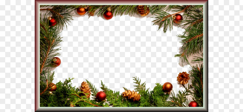 Christmas Ball Pineal Decorative Borders PNG ball pineal decorative borders clipart PNG