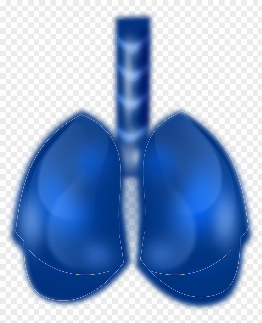 Lung Cancer Respiratory System Human Blue PNG