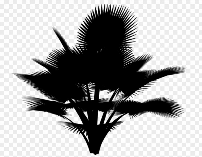 M Desktop Wallpaper Tree Computer Silhouette Black & White PNG