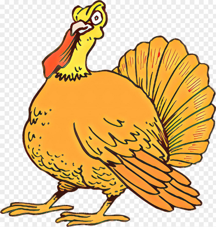 Thanksgiving PNG