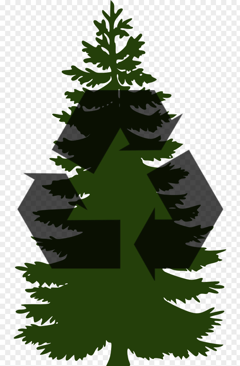 Tree Pine Clip Art PNG