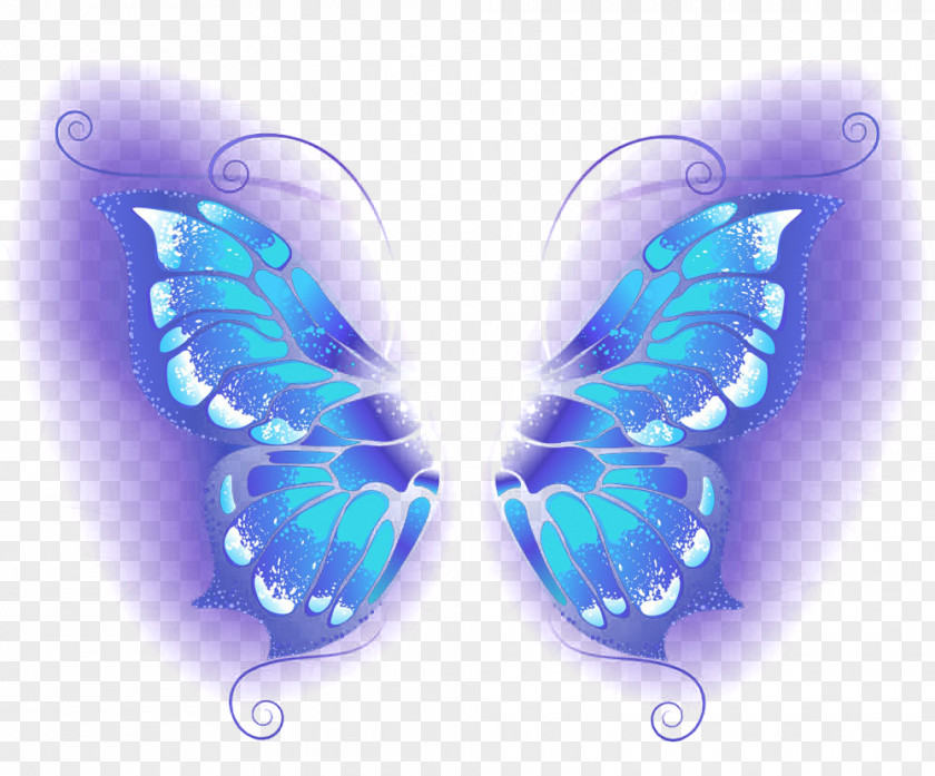 Beautiful Blue Butterfly Wallpaper PNG