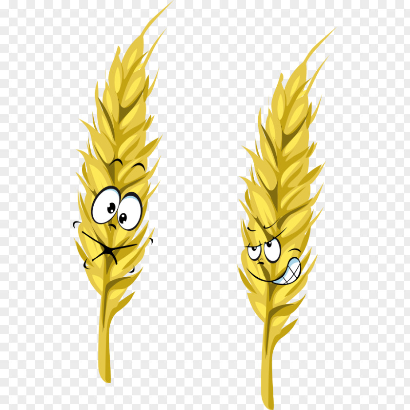 Cartoon Wheat Ear PNG