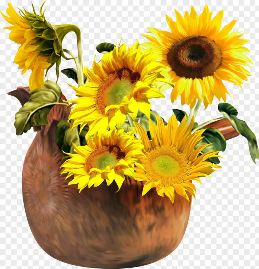 Common Sunflower Sunflowers Clip Art PNG