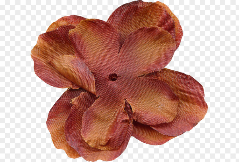 Flower Petal Blog Orange S.A. PNG