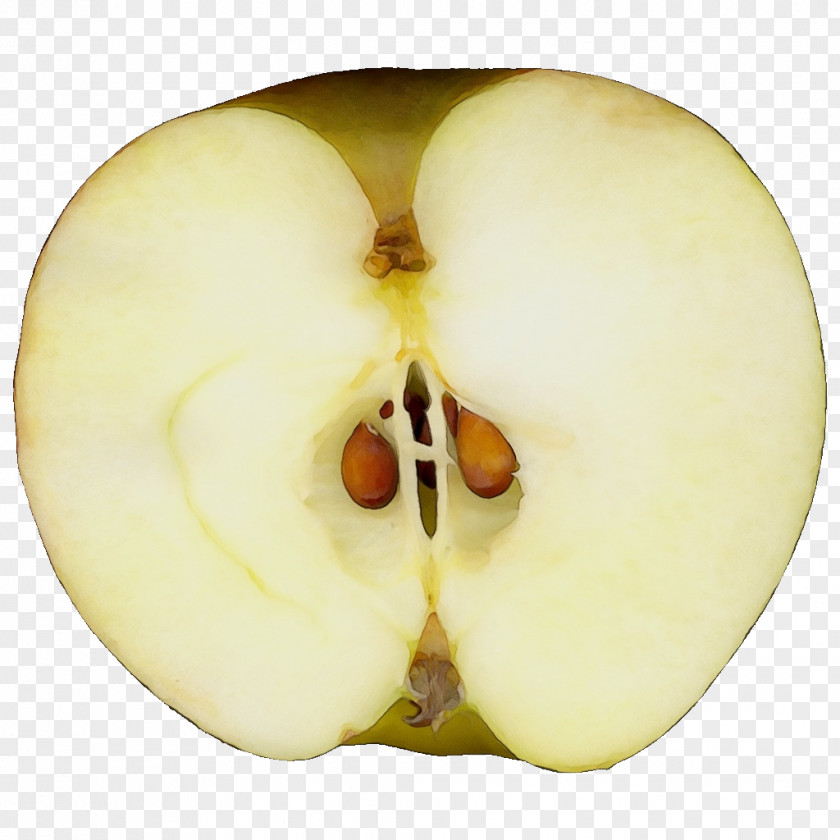 Malus Food Apple Nose Yellow Fruit Plant PNG
