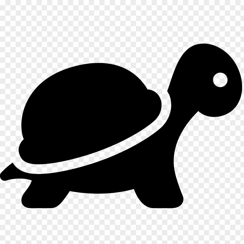 Naxin Turtle Clip Art PNG