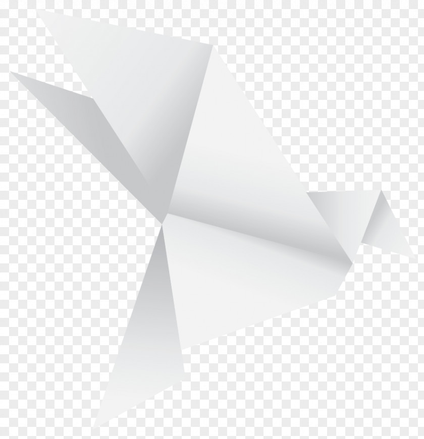 Origami Bird Triangle Line PNG