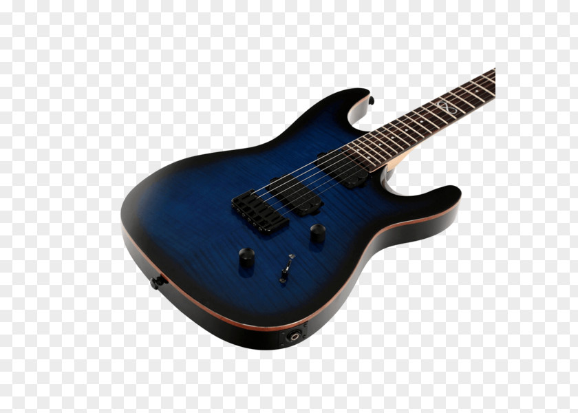 Bass Guitar Electric Acoustic Chapman Guitars PNG