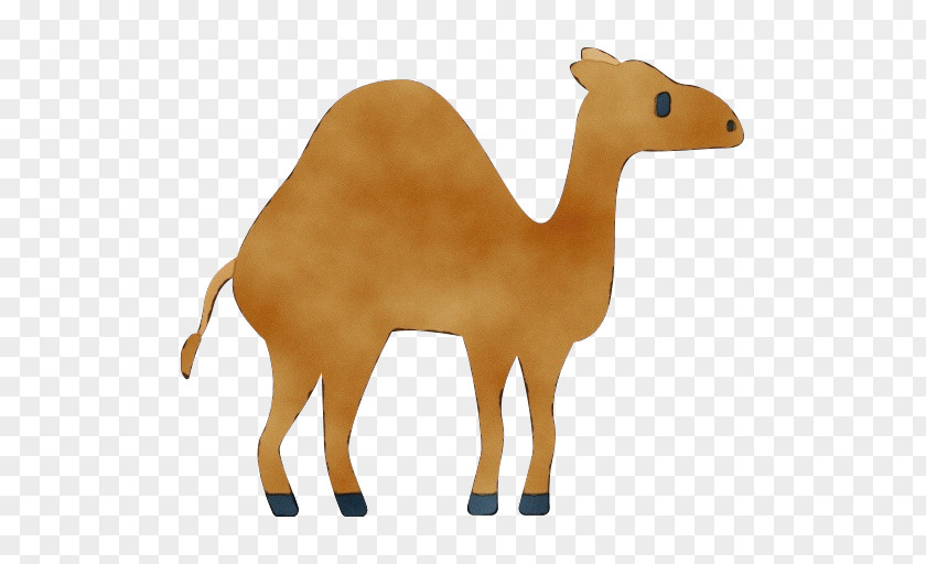 Figurine Arabian Camel Animal Cartoon PNG