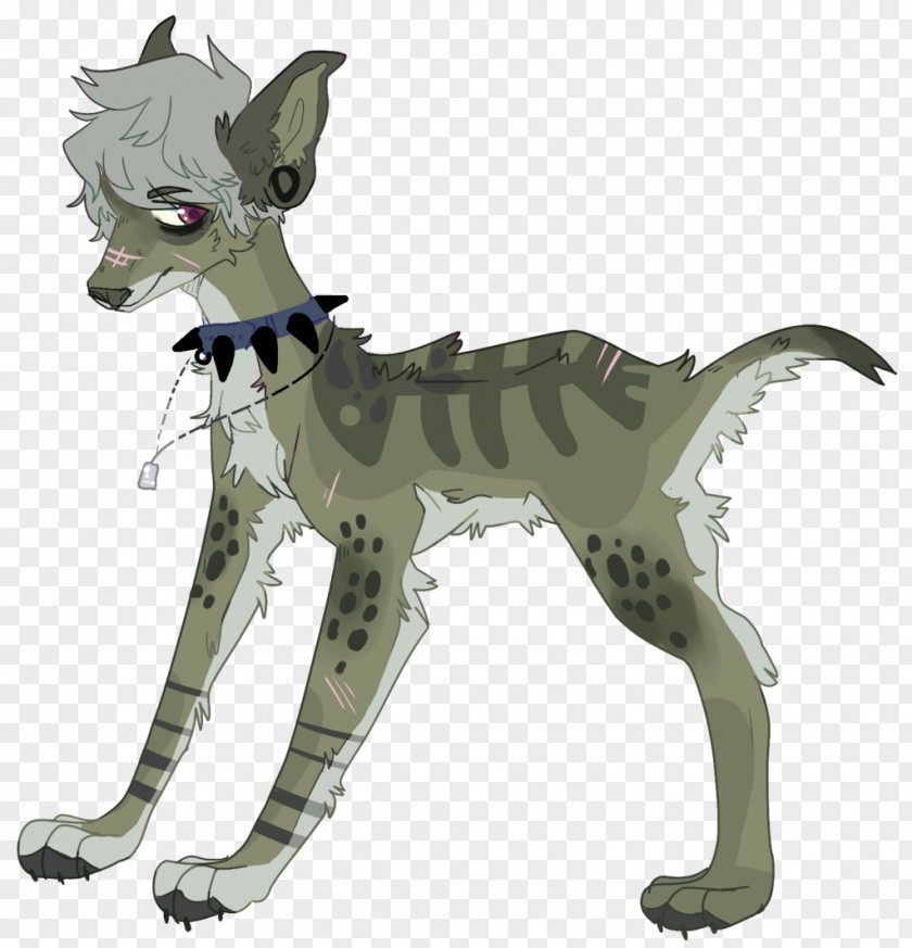 Gray Wolf PNG