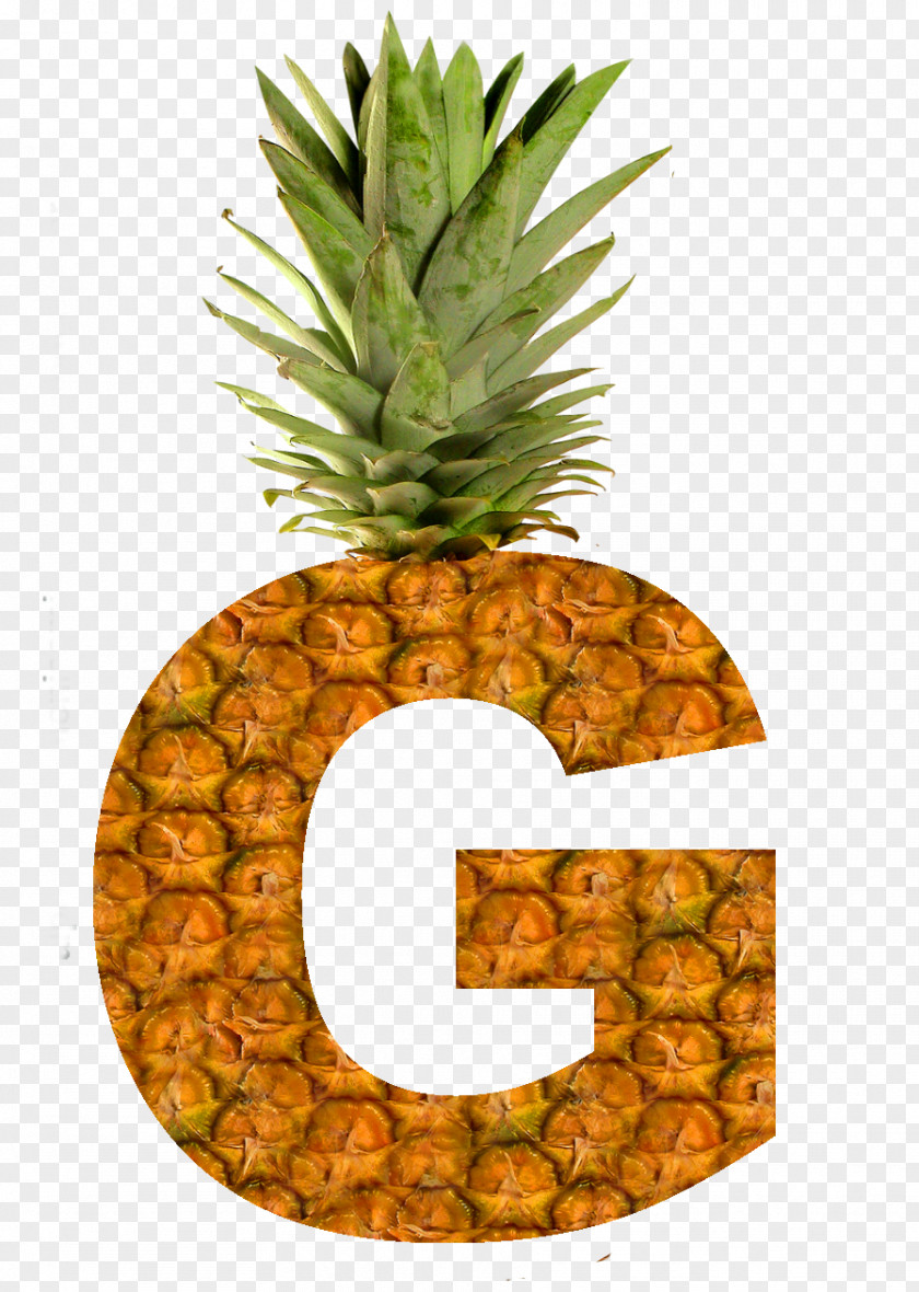 Pineapple Juice Dole Food Company Whip PNG