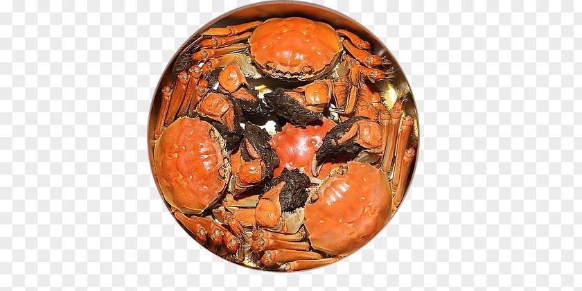 Steamed Crabs Chinese Mitten Crab Gaochun District Yangcheng Lake Gucheng PNG