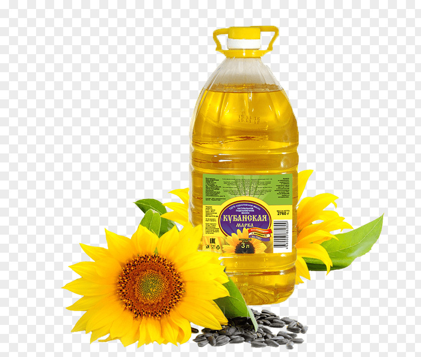 Sunflower Oil Common Seed Organic Food PNG