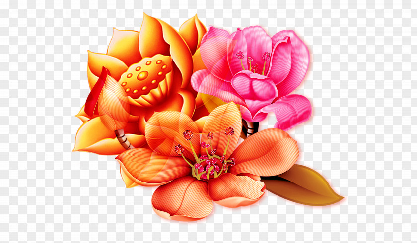 Beautiful Lotus Creative Elements Floral Design Nelumbo Nucifera PNG
