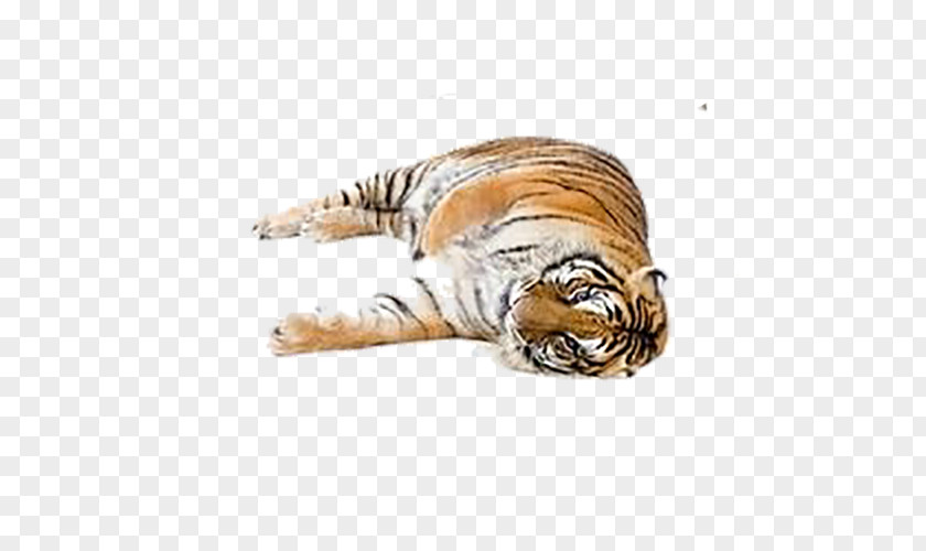 Tiger White Felidae Cat Clip Art PNG