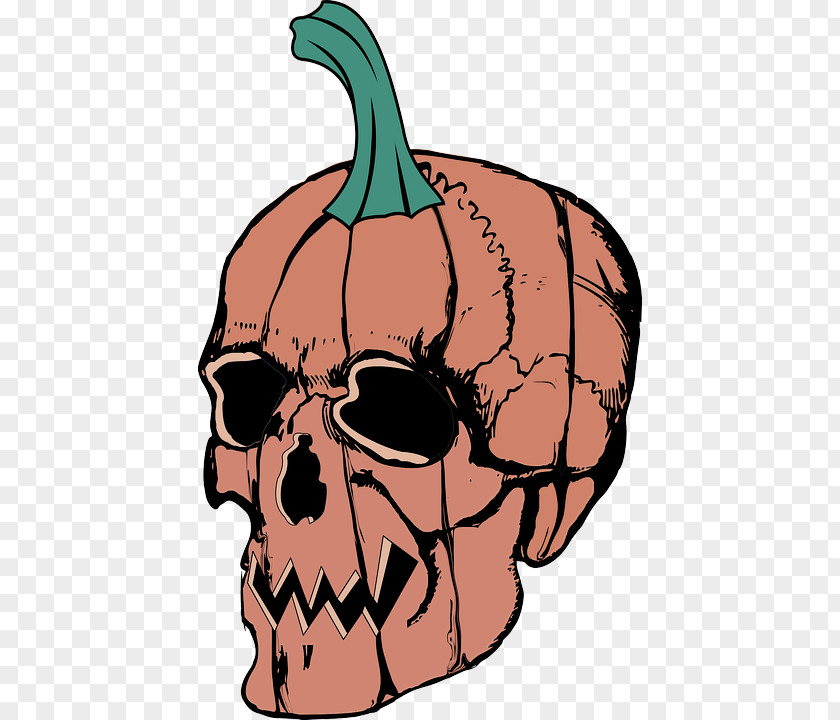 Bone Skull Pumpkin PNG