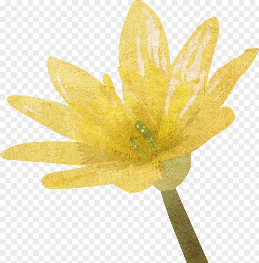 DAB Petal PNG