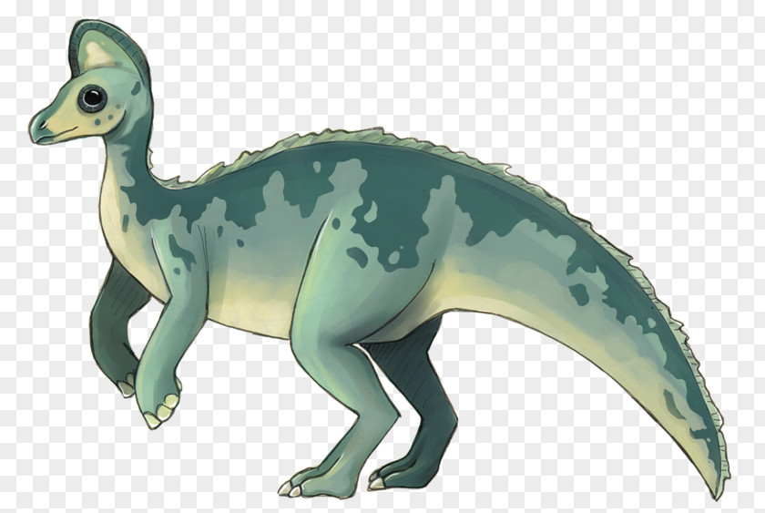 Dinosaur Lambeosaurus Velociraptor Late Cretaceous Lambeosaurinae PNG