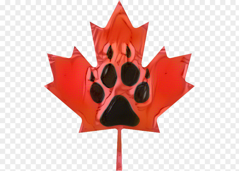 Flag Of Canada Canadian Gold Maple Leaf PNG