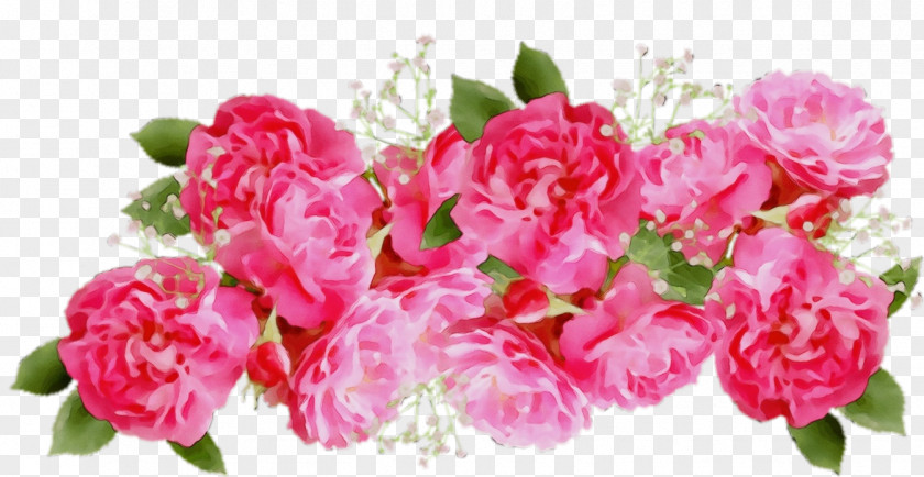 Garden Roses PNG