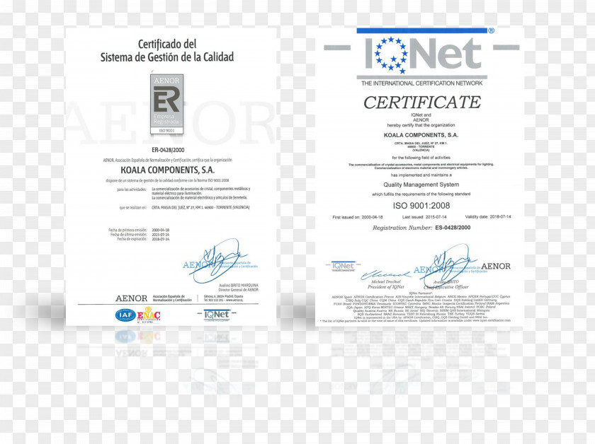 Business ISO 9001 Quality Management System International Organization For Standardization Certification 14000 PNG