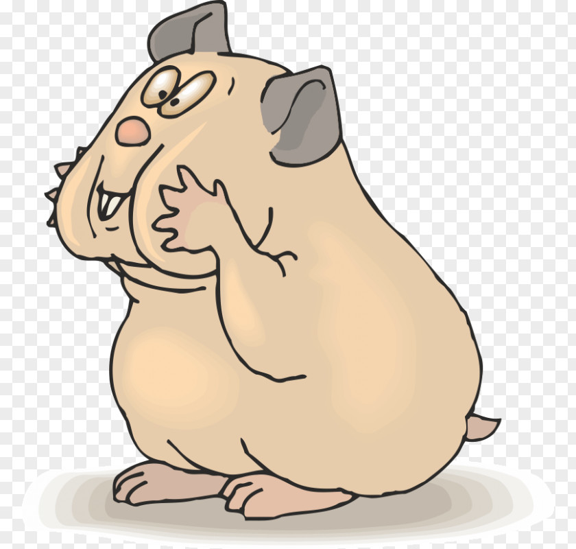 Cat Whiskers Hamster Rat Clip Art PNG