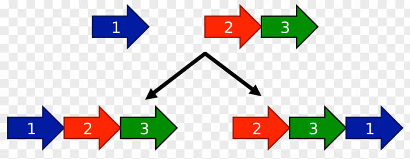 Circular Permutation In Proteins Amino Acid Sequence PNG