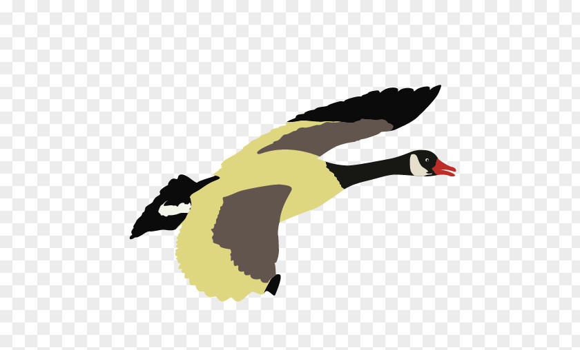 Duck Goose Beak Clip Art PNG