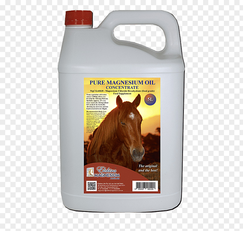 Horse Dietary Supplement Magnesium Oil Chloride PNG
