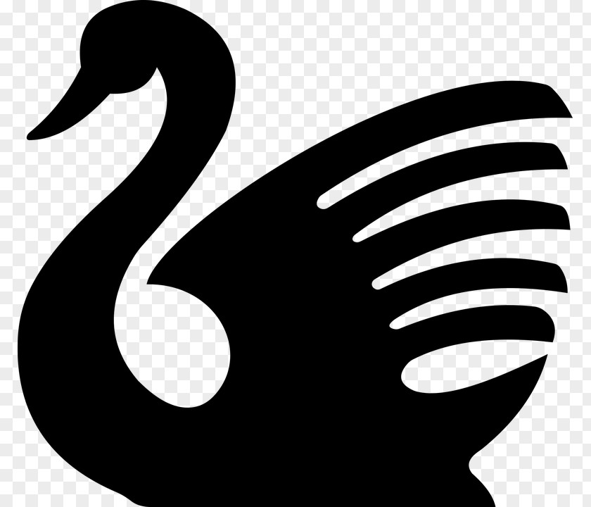 White Swan Black Silhouette Drawing Clip Art PNG