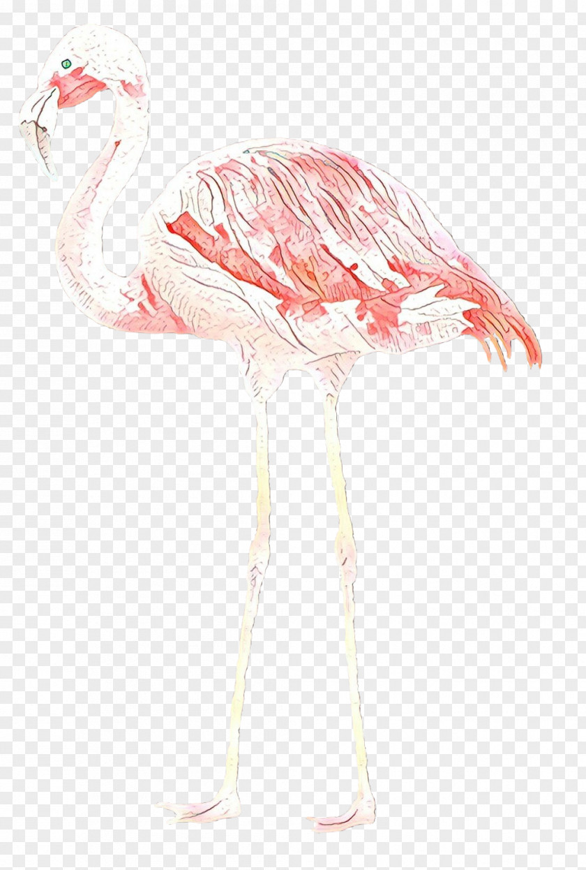 Leg Muscle Feather PNG
